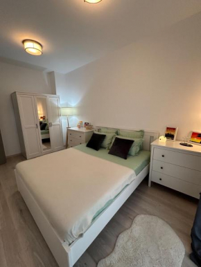 Elegant Park Copou 2 rooms AB Homes